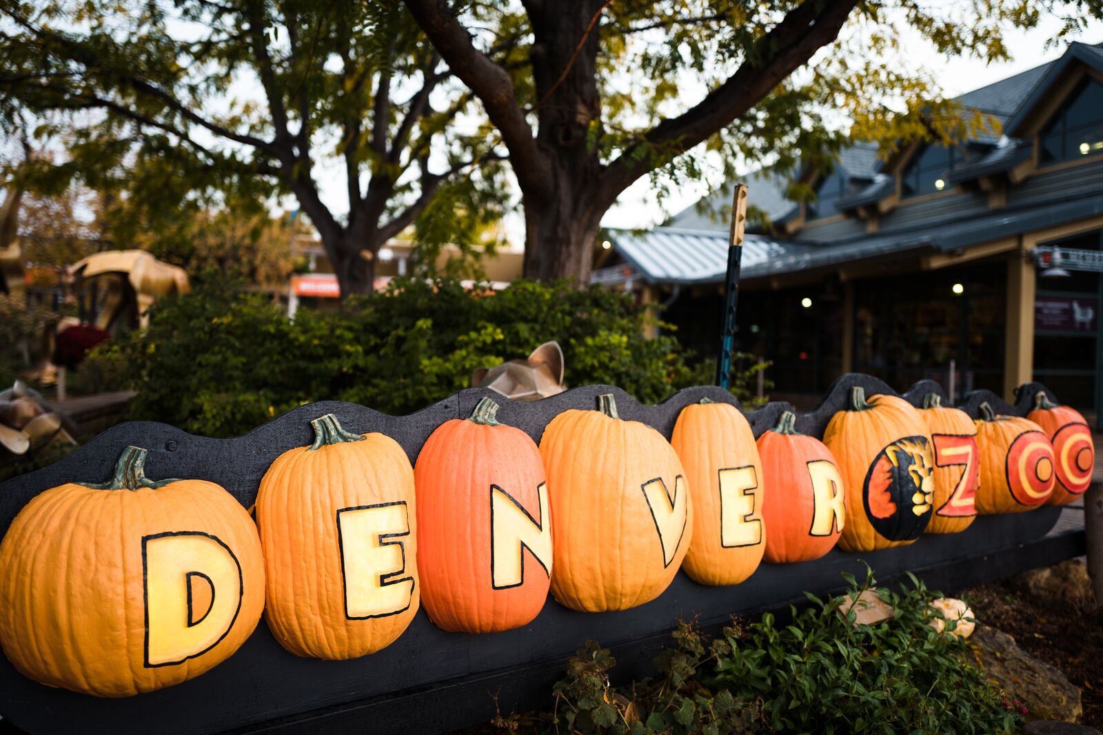 ROLE, Role, Agency, Denver, Branding, Photography